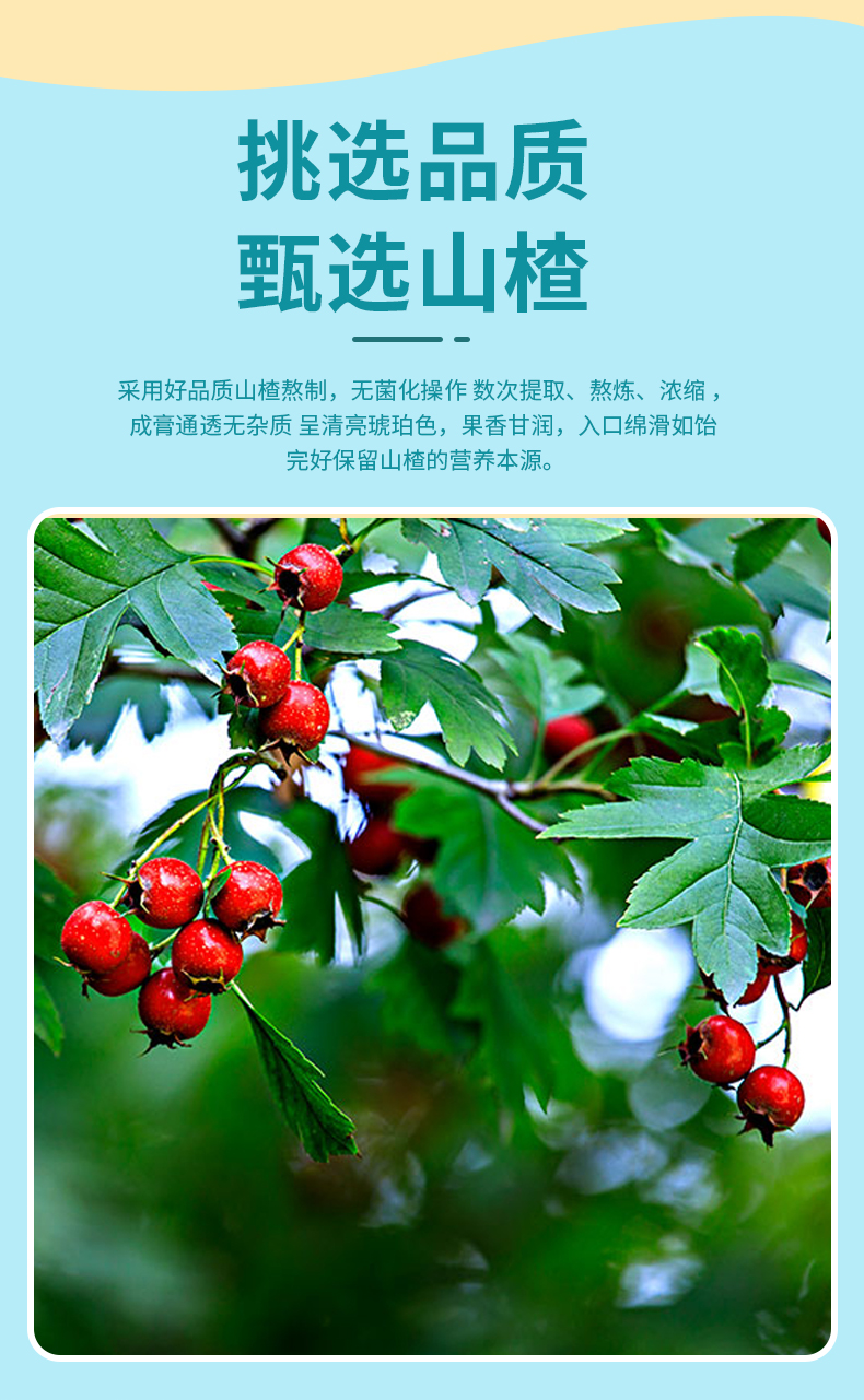 梨膏棒棒糖_12.jpg